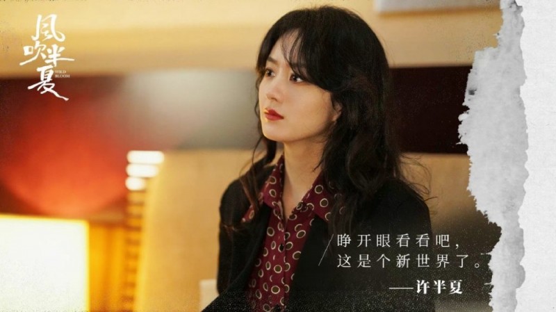 電視劇風吹半夏劇情分集介紹第8集