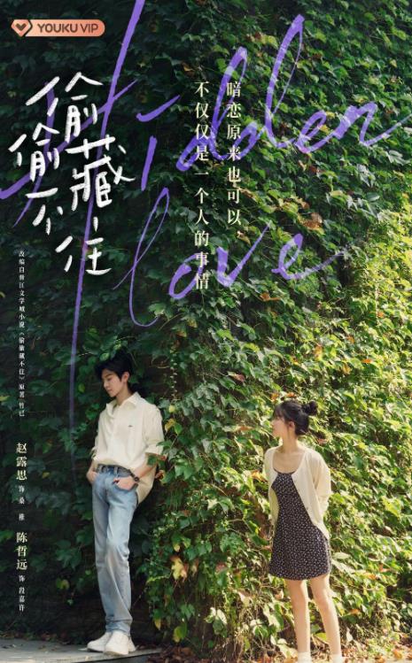 電視劇偷偷藏不住劇情分集介紹第1集